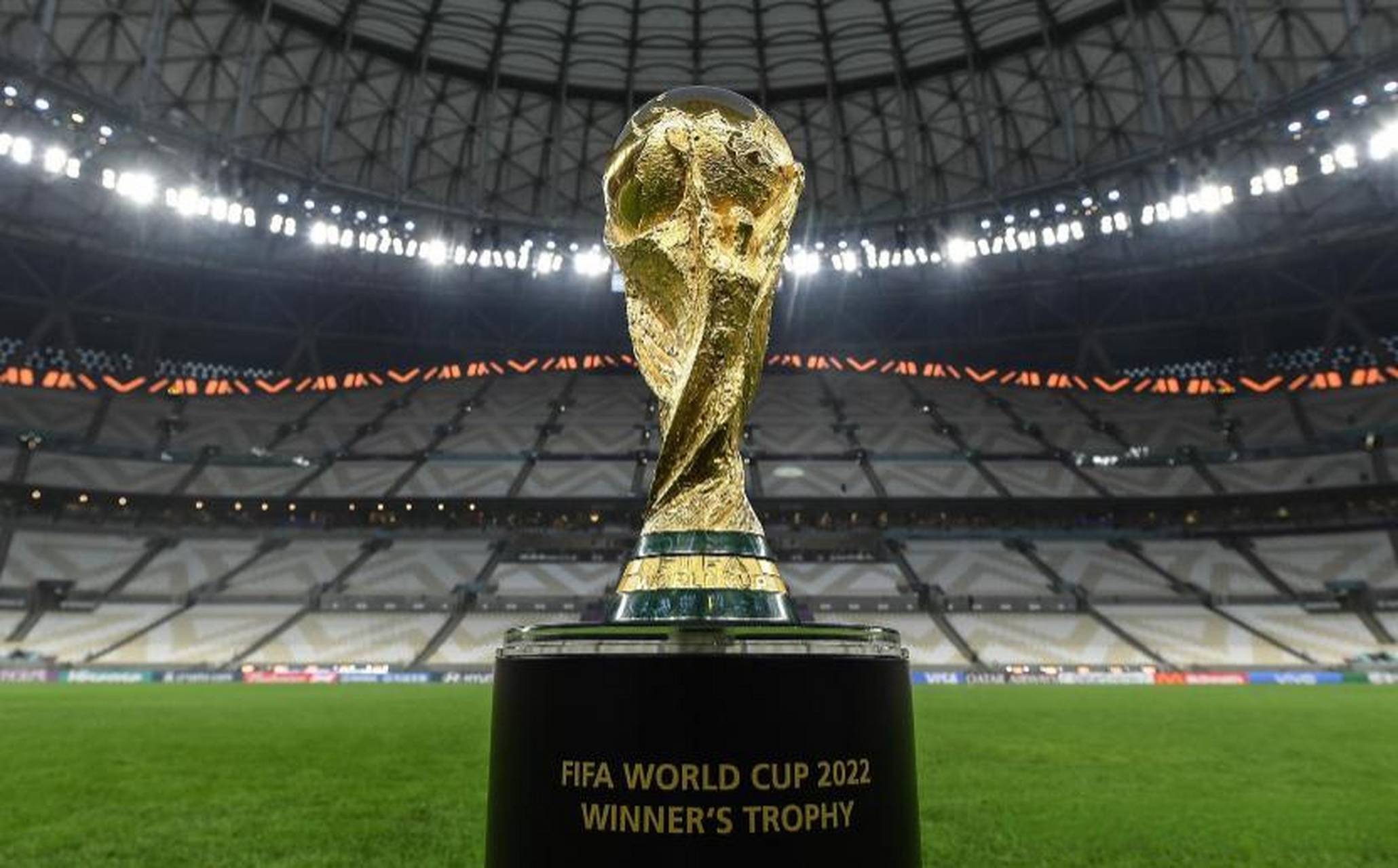 性更具侵略 性更具侵略